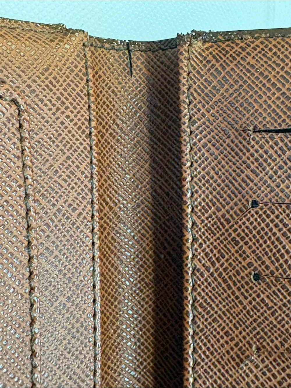 Louis Vuitton iconic lv
